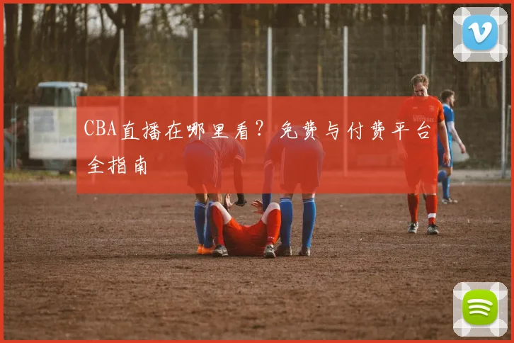 CBA直播在哪里看？免费与付费平台全指南