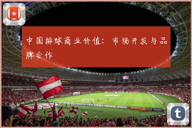 中国排球商业价值：市场开发与品牌合作